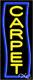 BRAND NEW CARPET VERTICAL 32x13 WithBORDER REAL NEON SIGN withCUSTOM OPTIONS 10977